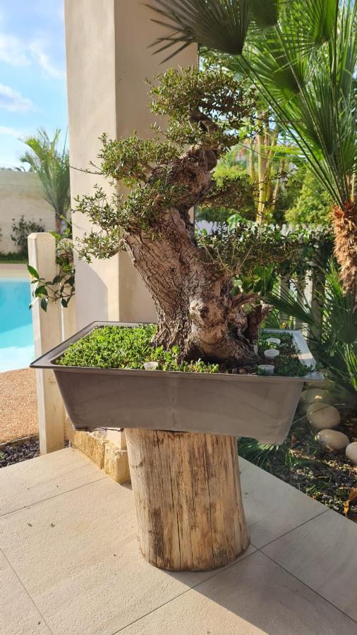 Apartamento Dependance Oscar Carrozziere Fonte Ciane Exterior foto